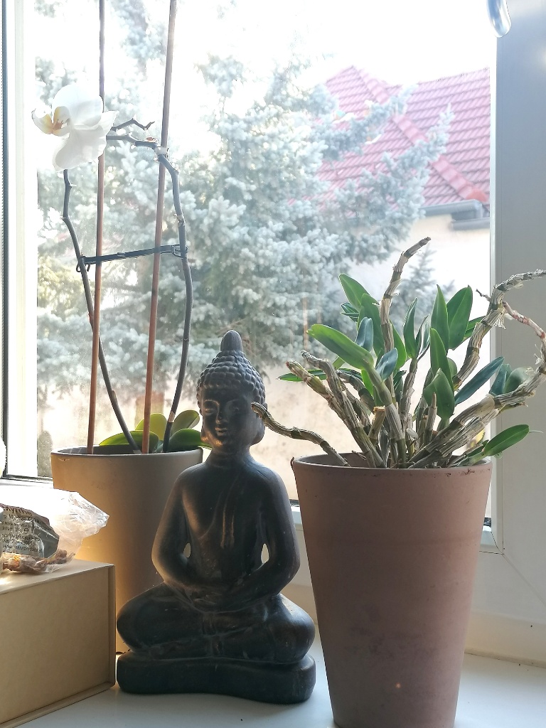 Eine kleine Buddha Statue und zwei Orchideen auf der Fensterbank