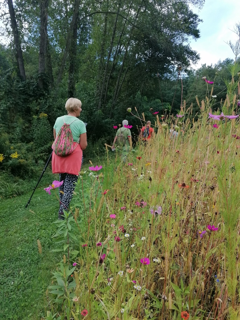 Bunte Blumenwiese mit vorbeigehenden Wanderern