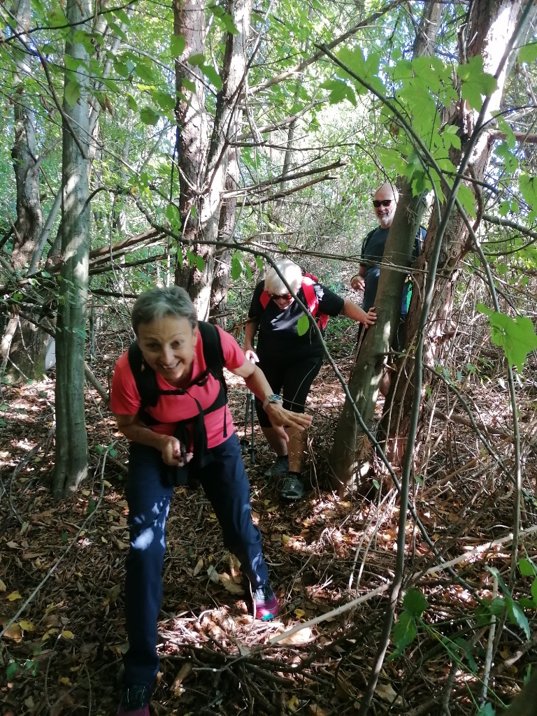 Menschen im dichten Wald, die bückend zwischen Dornensträuchern durchgehen