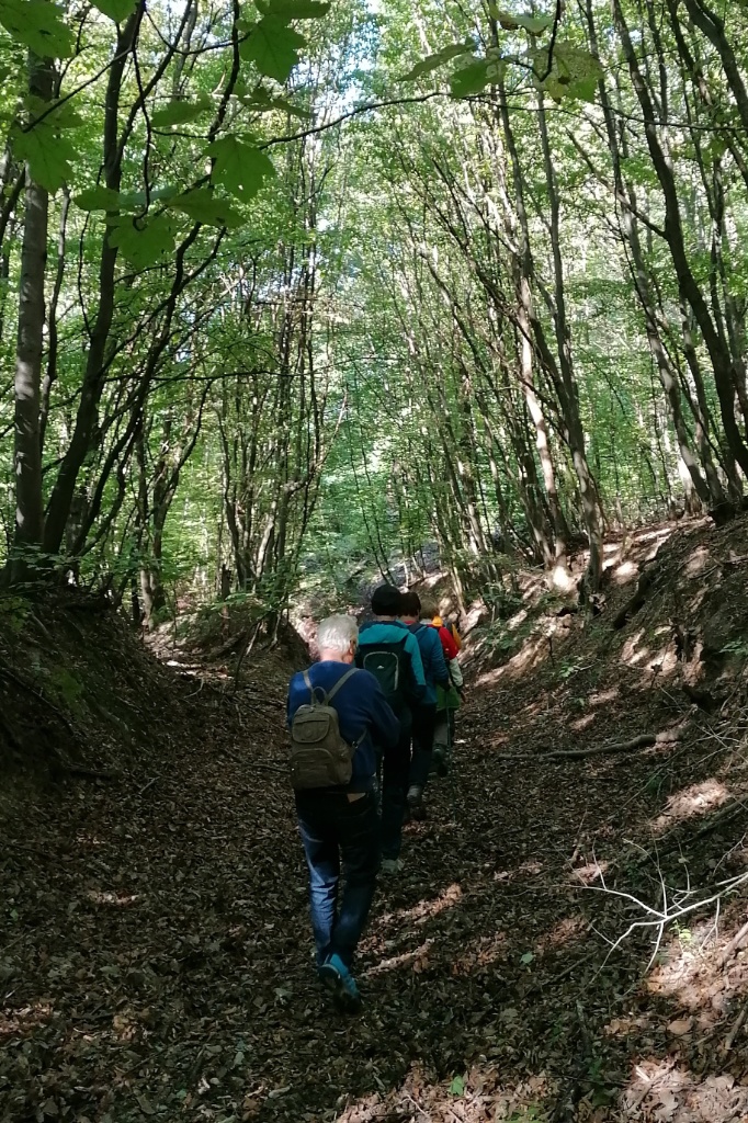 Wandergruppe von hinten, gehen im Gänsemarsch Hohlweg im Wald bergab
