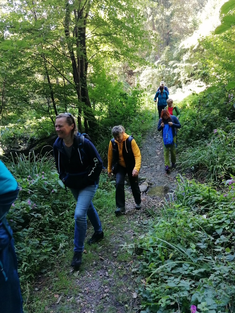 Leute im Wald gehen bergauf