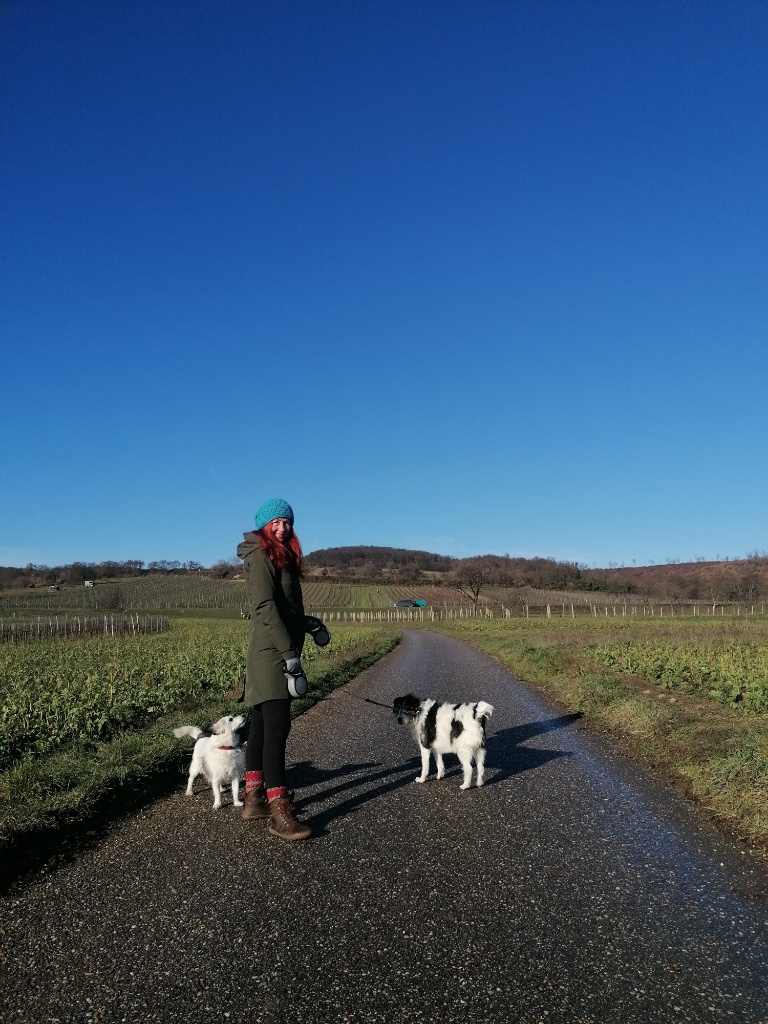 Frau mit zwei Hunden