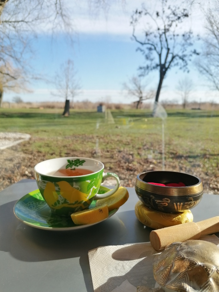 Teetasse