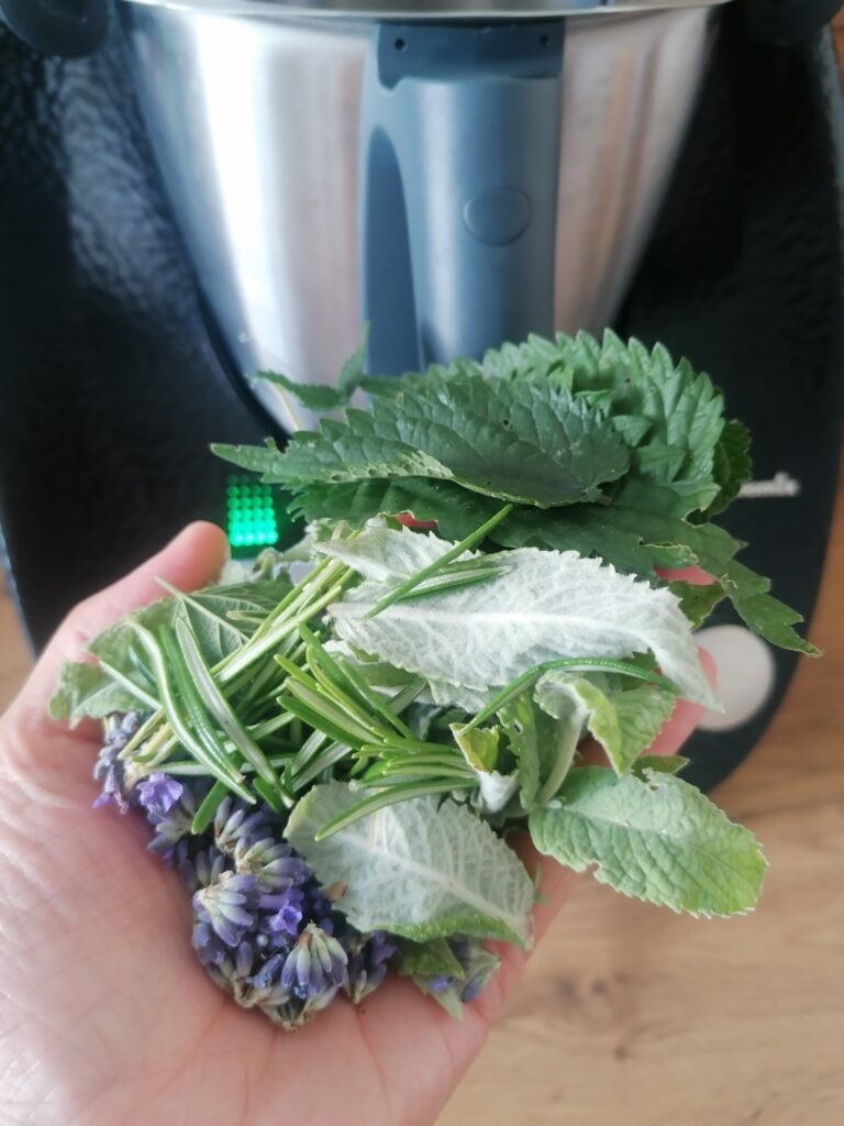 Eine Handvoll Kräuter, Blätter von Brennnessel, Salbei, Rosmarin und Lavendelblüten
