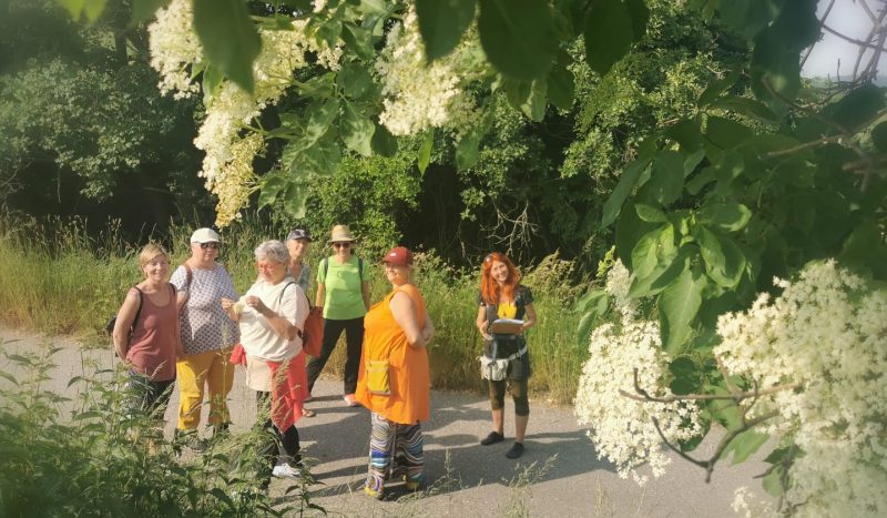 Holunderblüten im Vordergrund, kleine Menschengruppe in einiger Entfernung