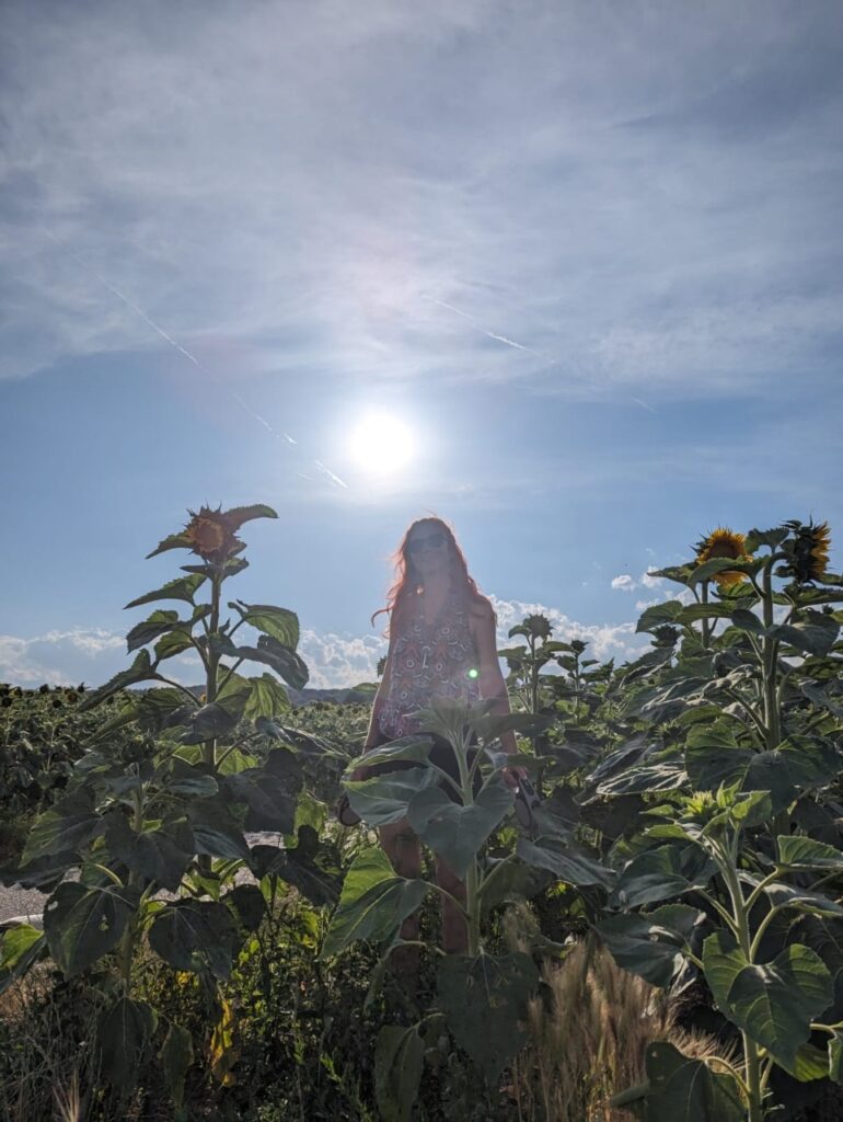 Karin zwischen Sonnenblumen