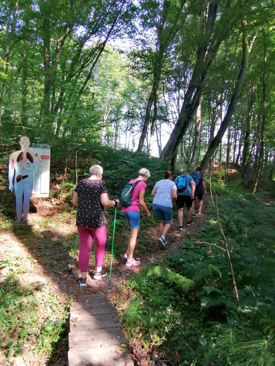 Wandergruppe von hinten im Wald