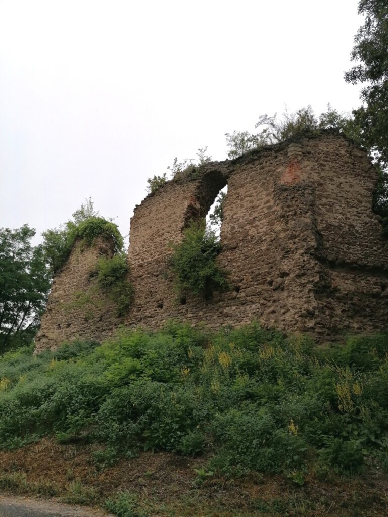 Ruine Neuhaus