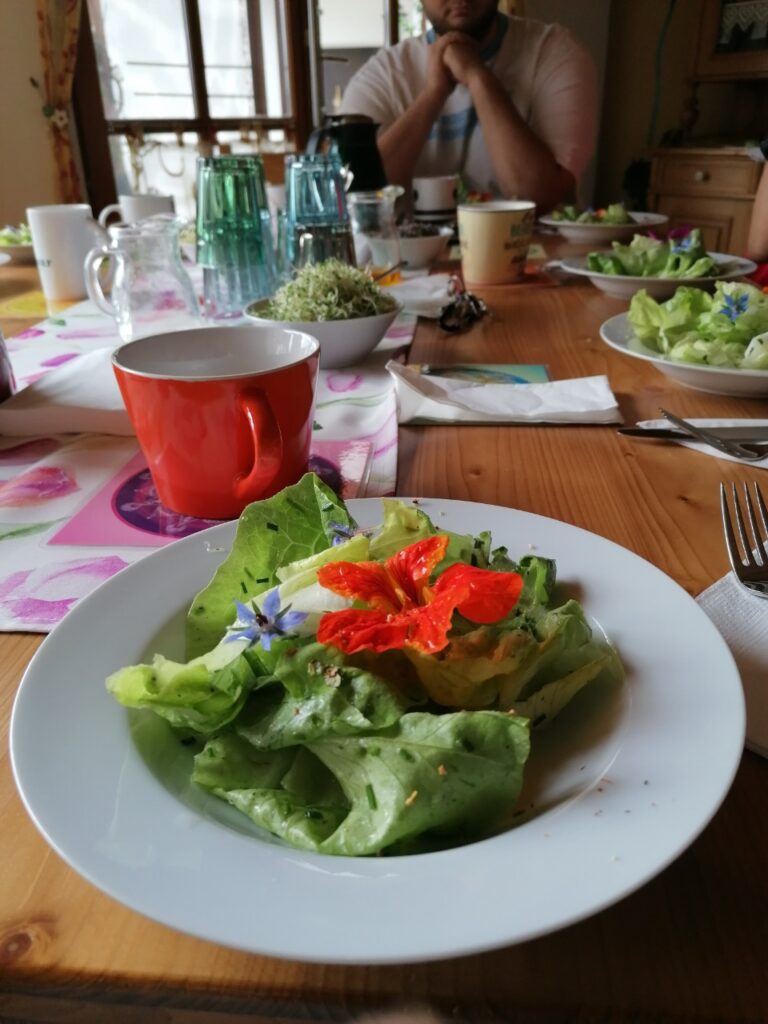 Grüner Salat mit Avocado und Kresseblüte