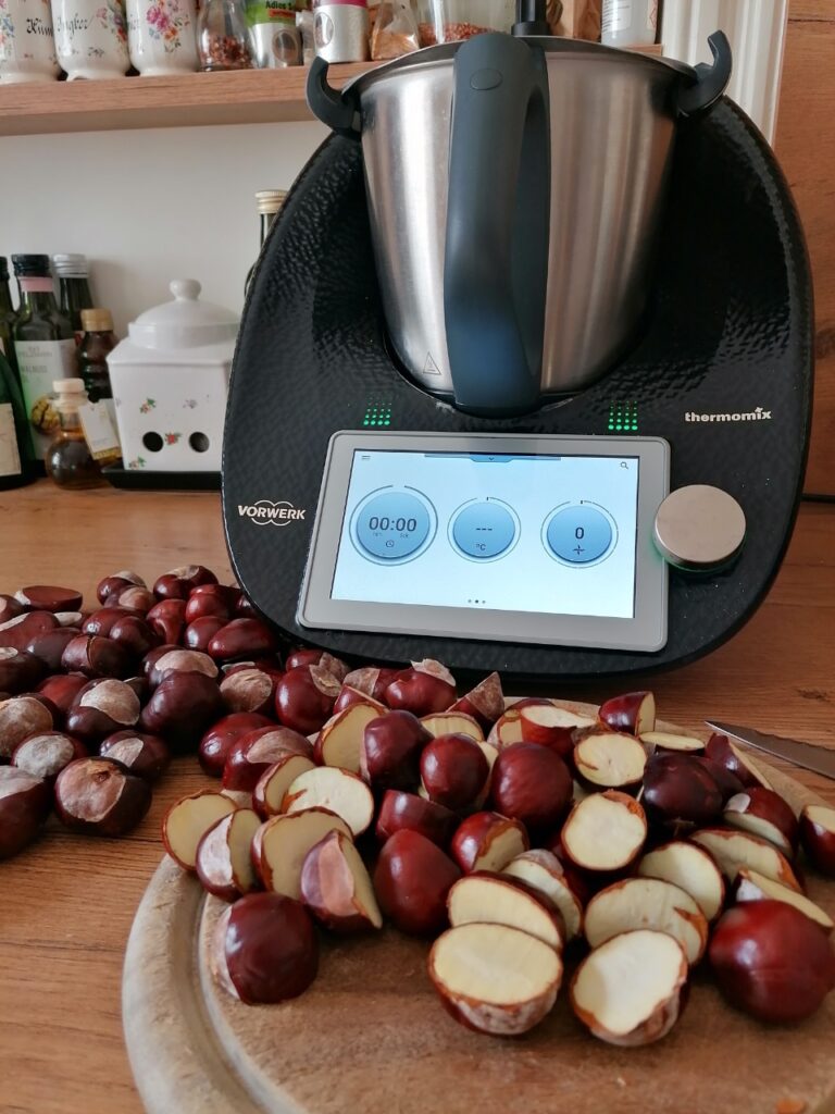 Thermomix mit Kastanien im Vordergrund