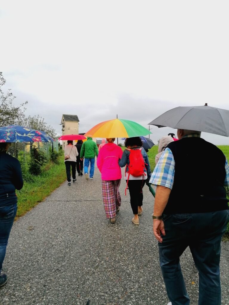 Teilnehmergruppe der ggf 25 Jahr Feier beim Spaziergang mit Regenschirm. Foto von hinten.