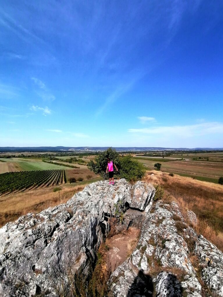 Blick vom Hölzlstein. Herrliche Aussicht auf Leithaberg und Felder, mit strahlend blauem Himmel