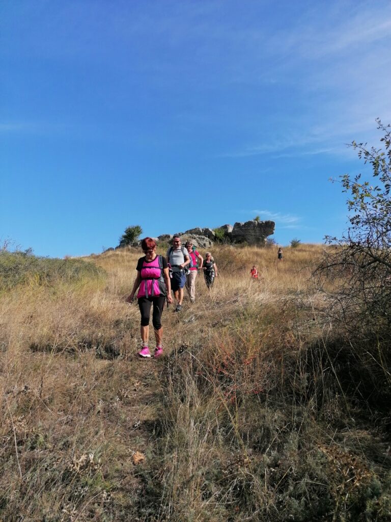 Wandergruppe geht vom Hang am Hölzlstein herab