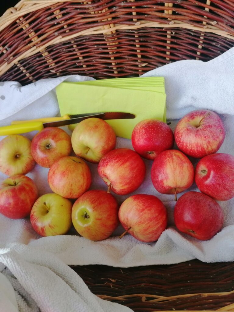 Ein Korb mit vielen roten Äpfeln