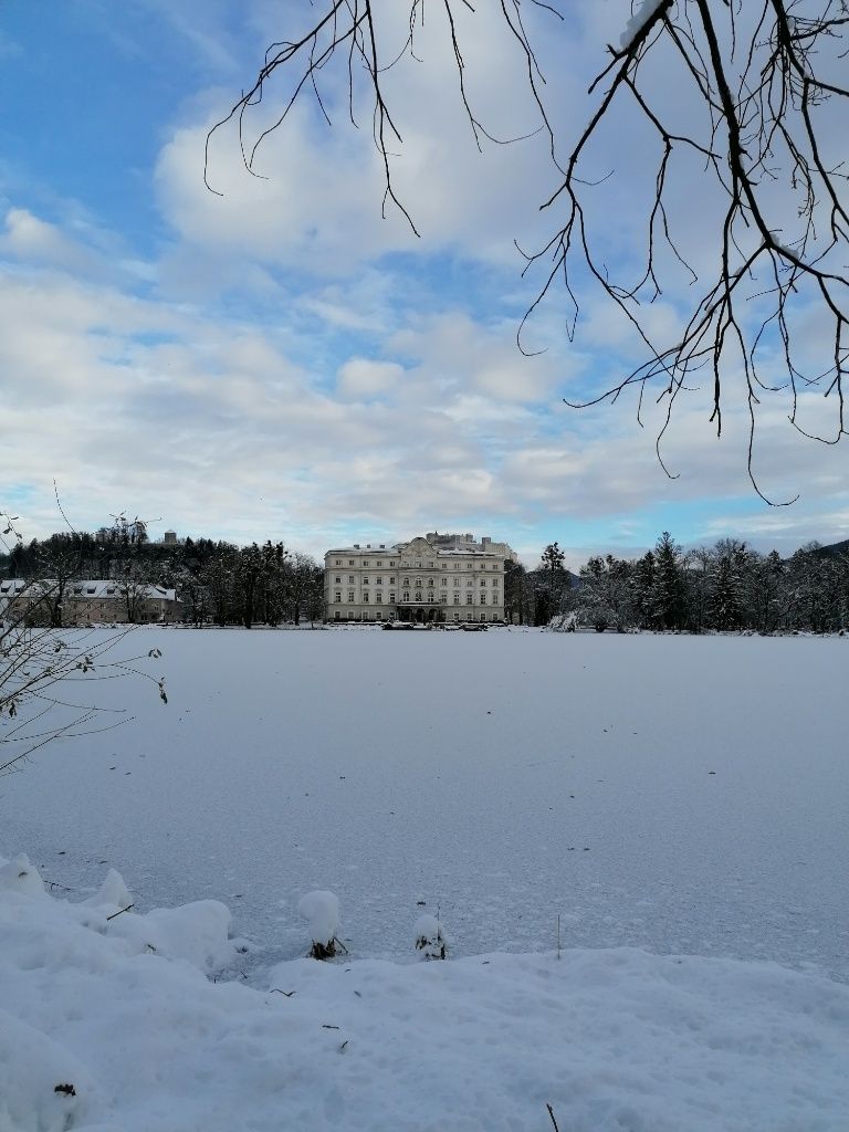 Leopoldskroner Weiher mit Schloss im Hintergrun