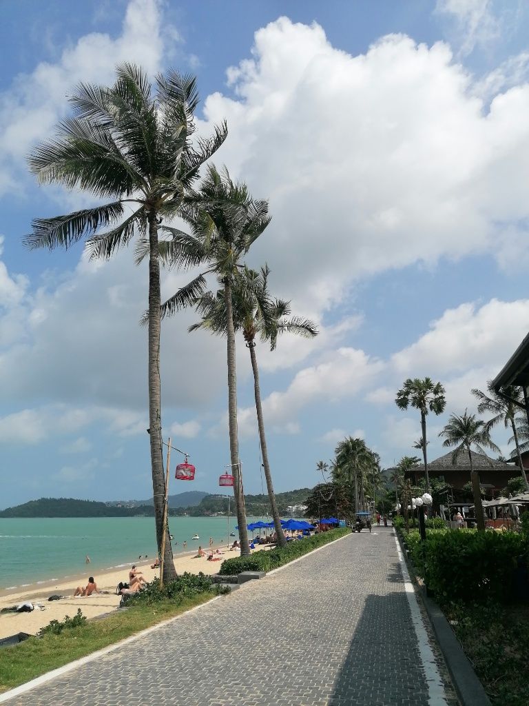 Strandpromenade mit Palmen