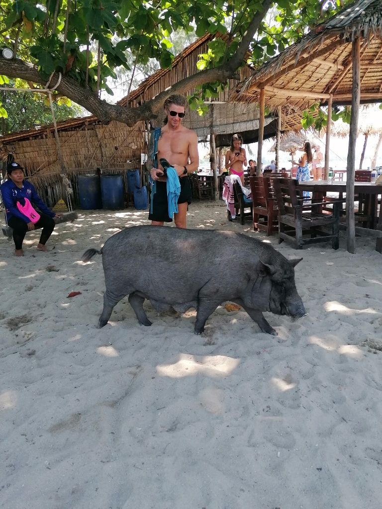 Seppi mit großem Schwein