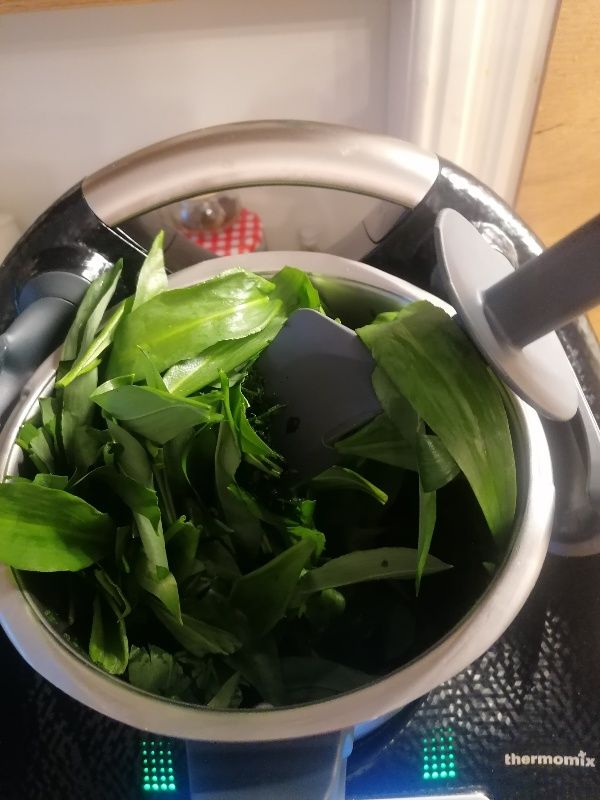 Bärlauchpesto Zutaten im Thermomix Mixtopf