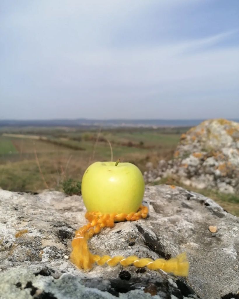 Apfel Golden Delicious auf einem Felsen mit orangem Band und im Hintergrund Weitblick auf die Weingärten und das Leithagebirge