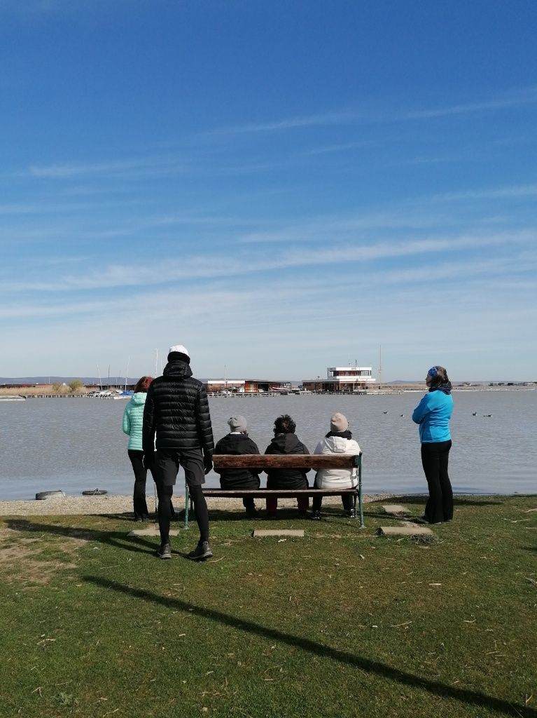 5 Menschen von hinten am Ufer des Neusiedlersees