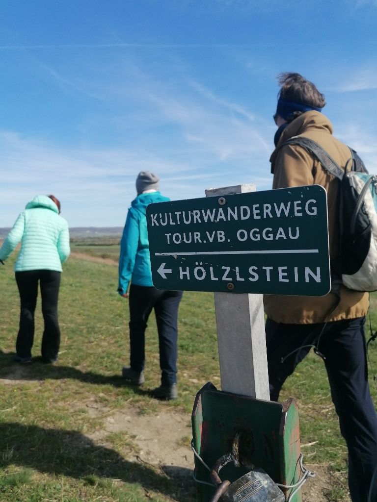 Wegweiser zum Hölzlstein