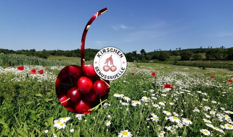 Wildkräuter & Kirschen Genuss-Tour