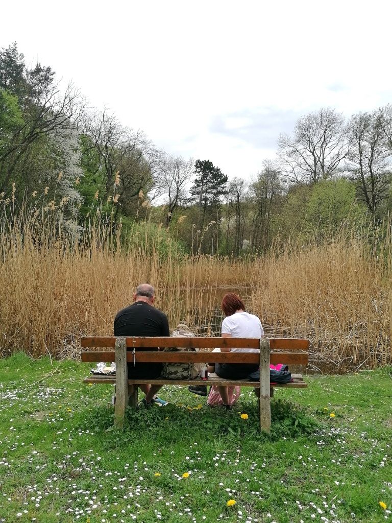 Ein Mann und eine Frau von hinten, auf einer Bank sitzend mit Blick zum Teich