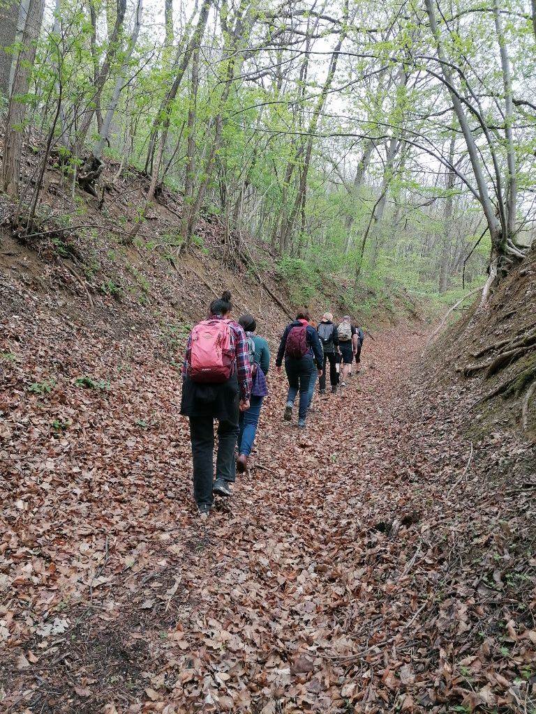 Wandergruppe von hinten im Gänsemarsch den laubbedeckten Hohlweg hinauf.