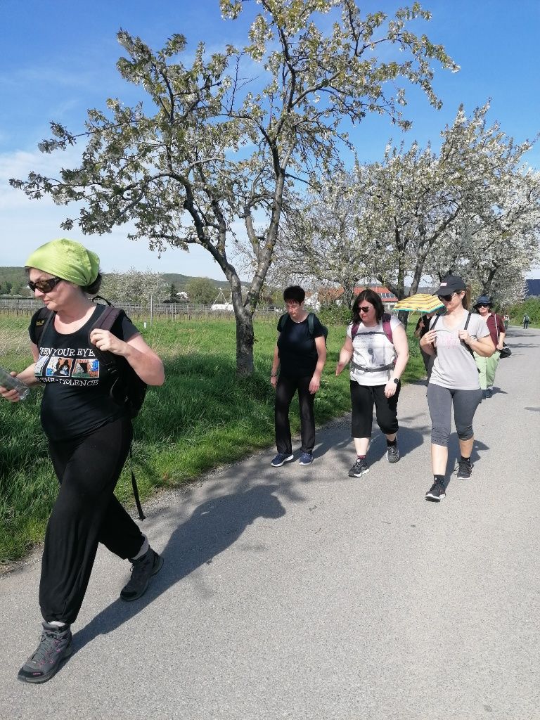 Vier Frauen gehen einen Weg entlang, daneben blühende Kirschbäume