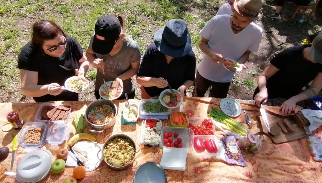 Buntes Picknick-Buffet von oben