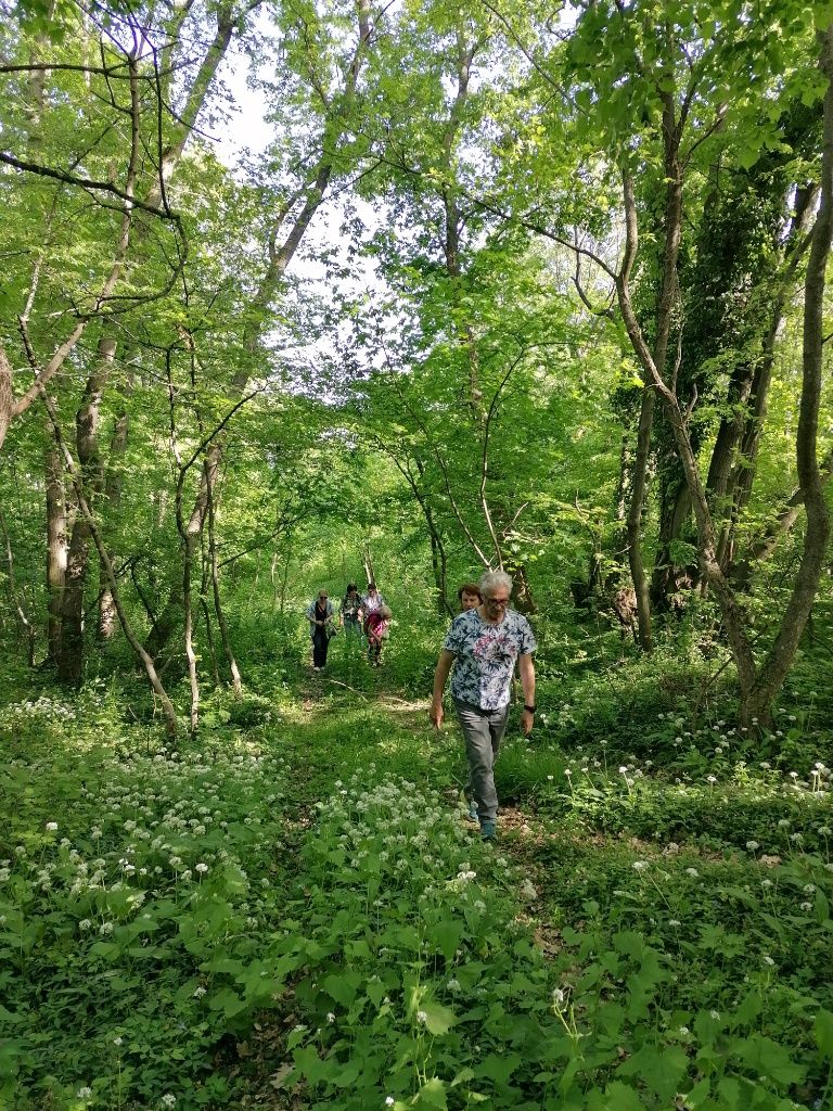 Menschen gehen durch den dichten, grünen Wald