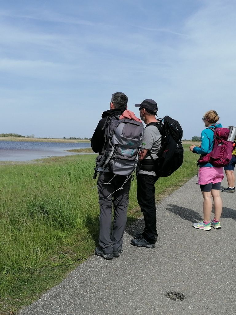 Teilnehmer blicken auf eine Seewinkler Lacke