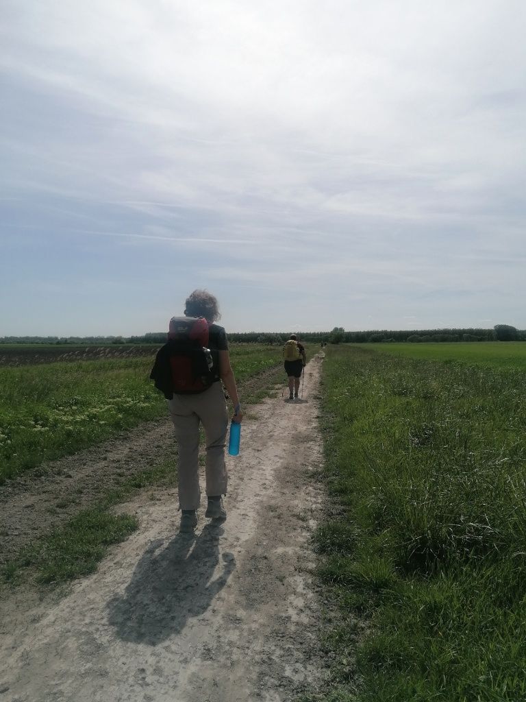 Frau mit Wasserflasche geht trostlosem Feldweg entlang