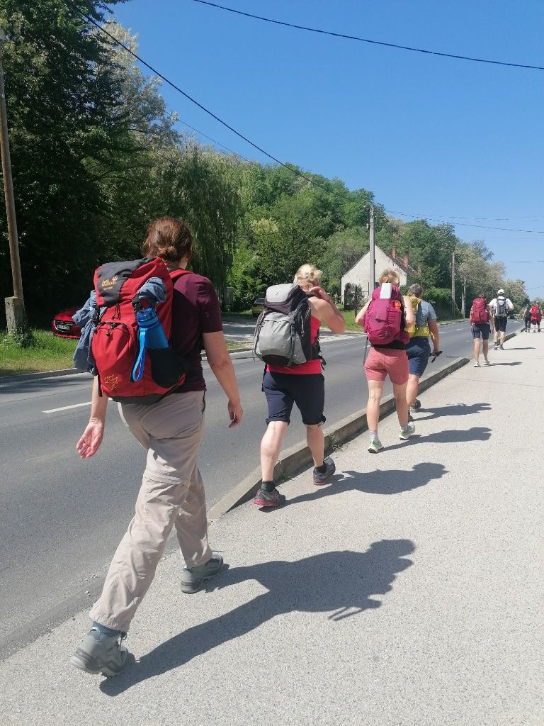 Ausschreitende Wandergruppe im Gänsemarsch