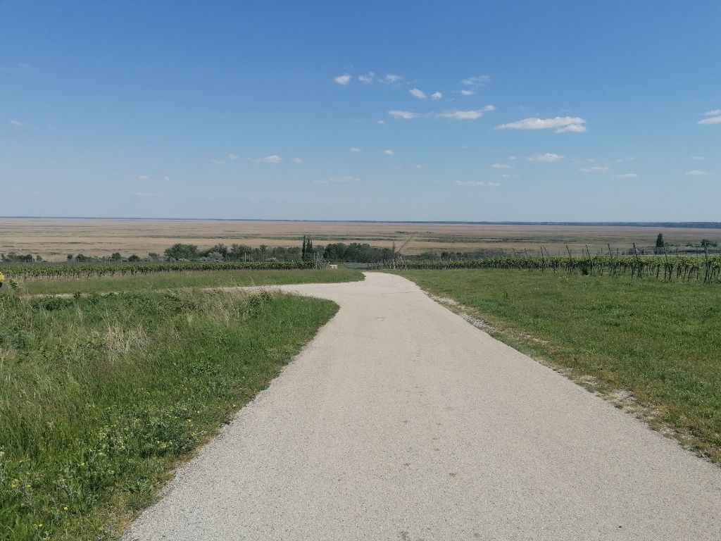 Weggabelung mit Wiese links und rechts, und blauem Horizont