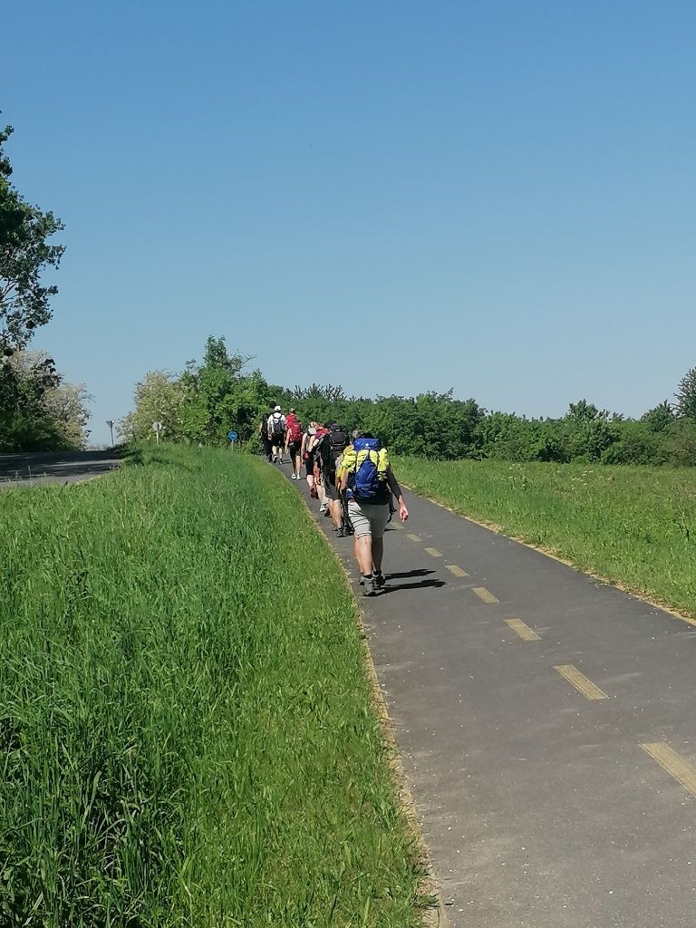 Wandergruppe geht im Gänsemarsch den Radweg bergauf