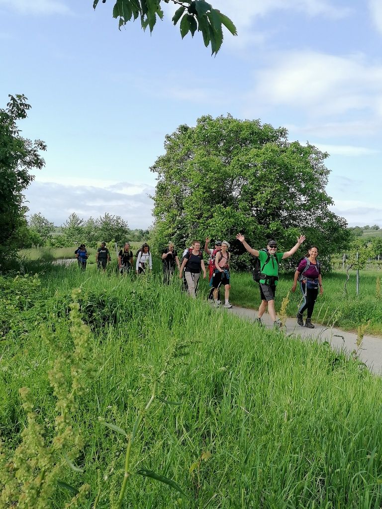 Wandergruppe im Gänsemarsch