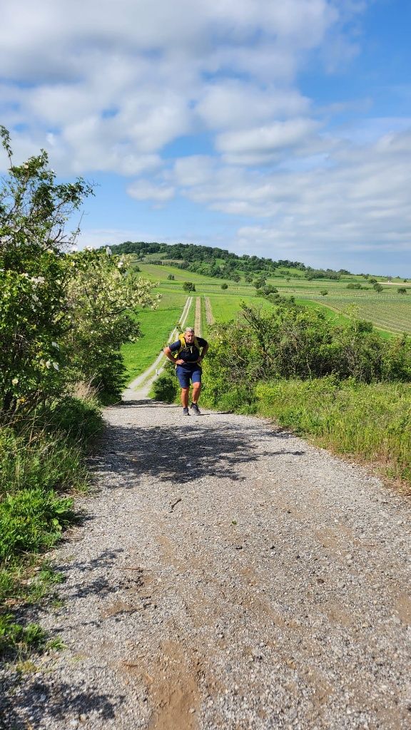 Bianca am letzten Stück zum Hölzlstein