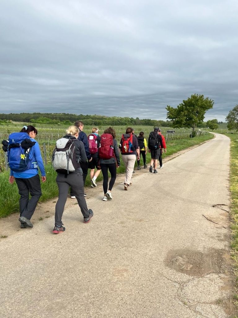 Wandergruppe auf dem Weg