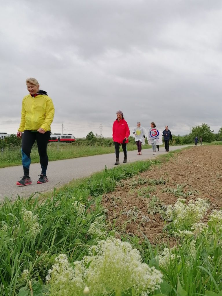 5 WanderInnen, im Vordergrund die Blüte einer Pfeilkresse