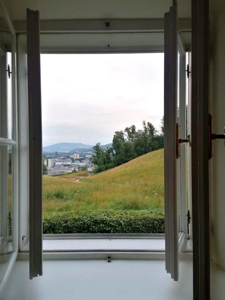 Blick aus dem Fenster - Hang mit Nadelbäumen