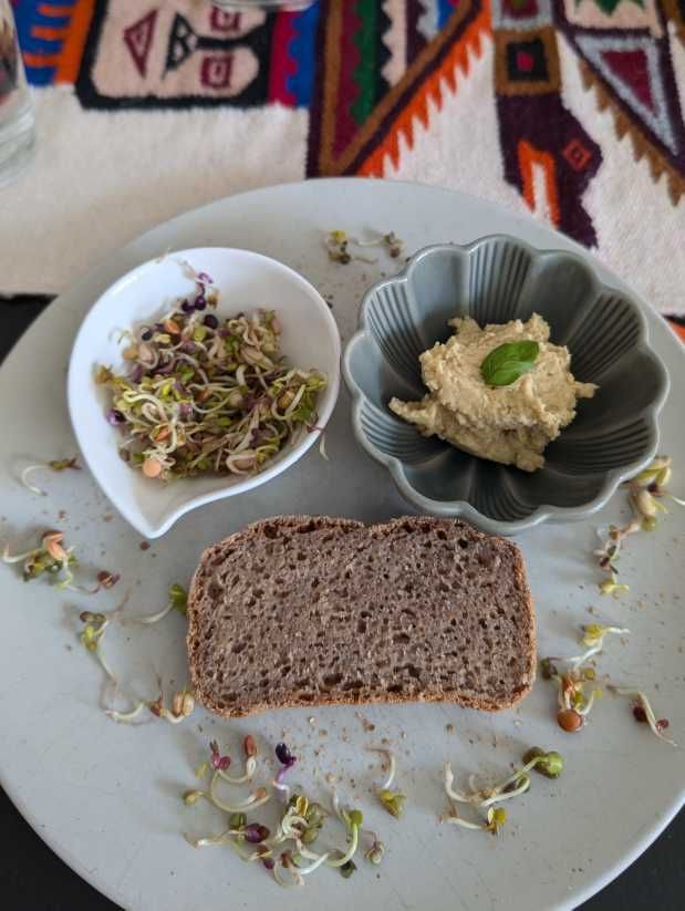 Eine Scheibe Vollkornbrot, 1 kleine Schüssel mit Hummus und eine kleine Schüssel mit frischen Sprossen