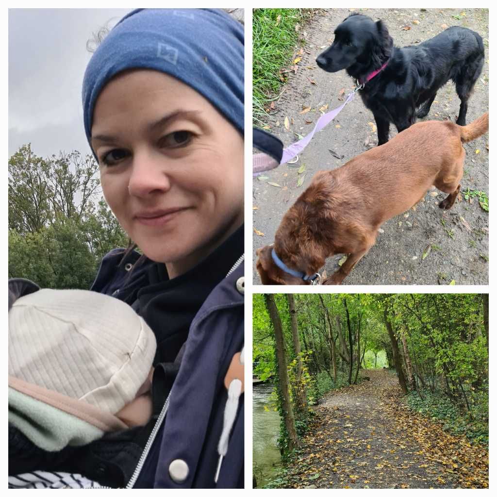 FotoCollage - Online-Teilnehmerin beim Spazierengehen im Wald mit ihren Hunden.