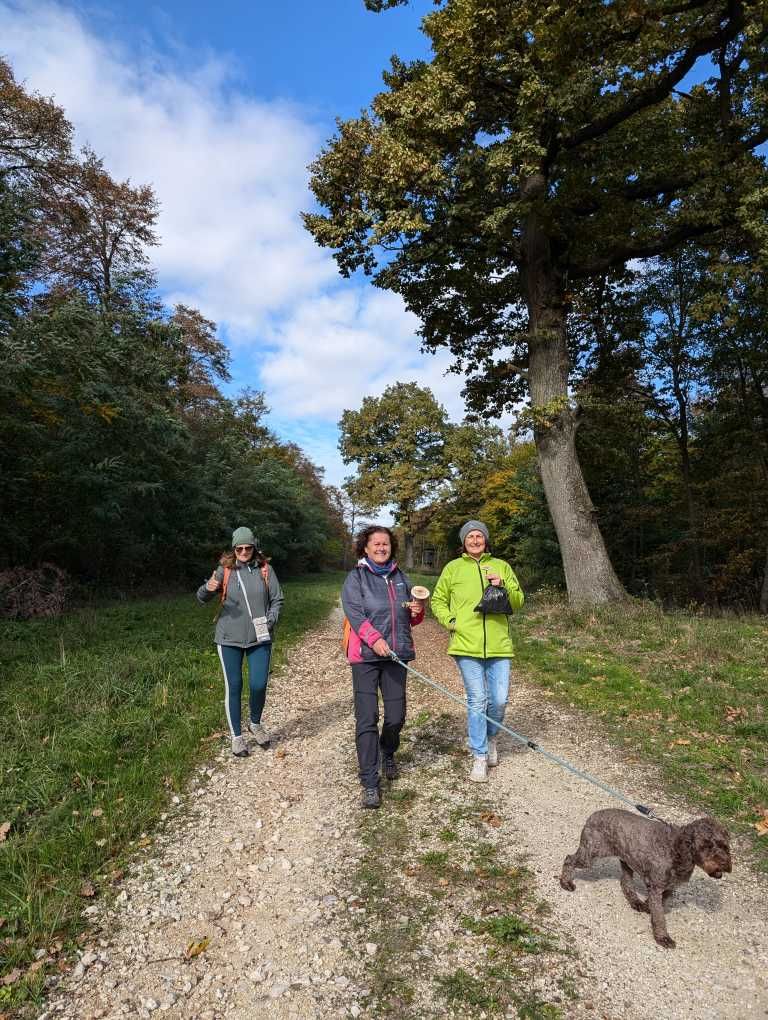 Meine 3 Präsenzteilnehmerinnen mit Hund auf einem Waldweg