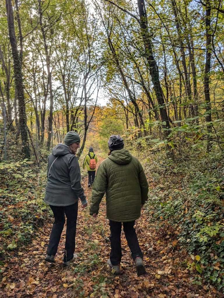Teilnehmerinnen von hinten, spazierend auf einem Waldweg.