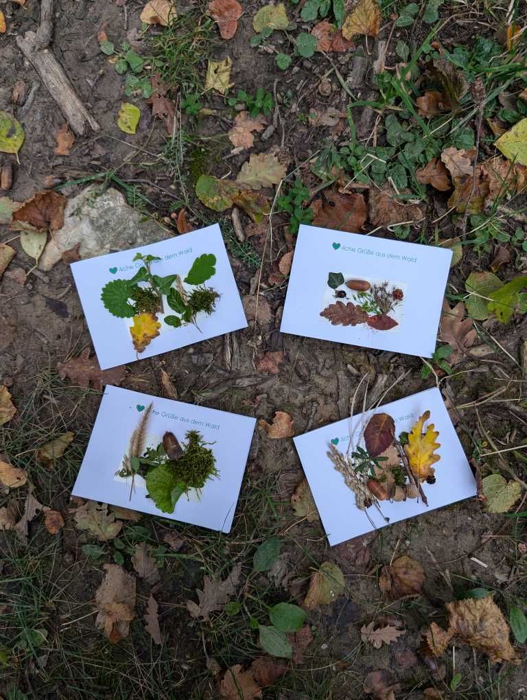 vier Bilder aus Naturmaterialien am Waldboden