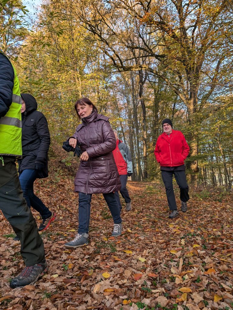 Gruppe marschiert durch den raschelnden Wald