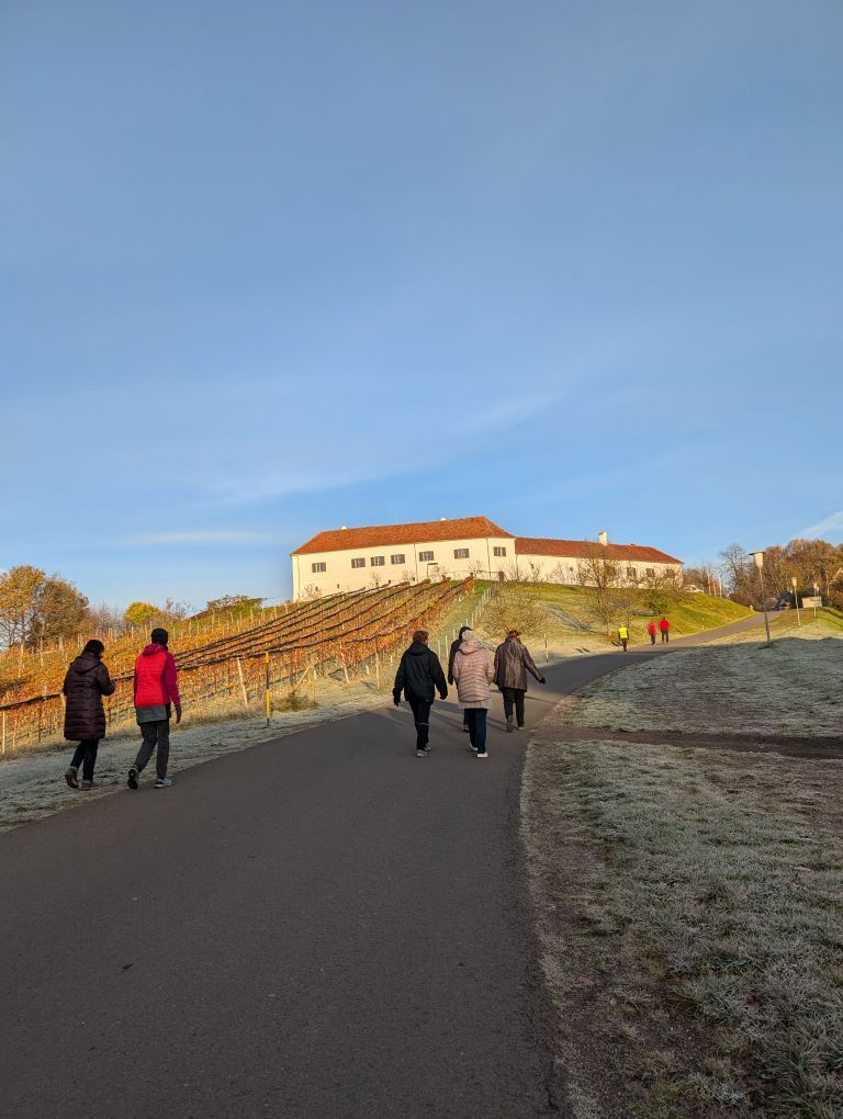 Fastengruppe geht eine Straße rauf, an deren linken Seite Schloss Tabor steht