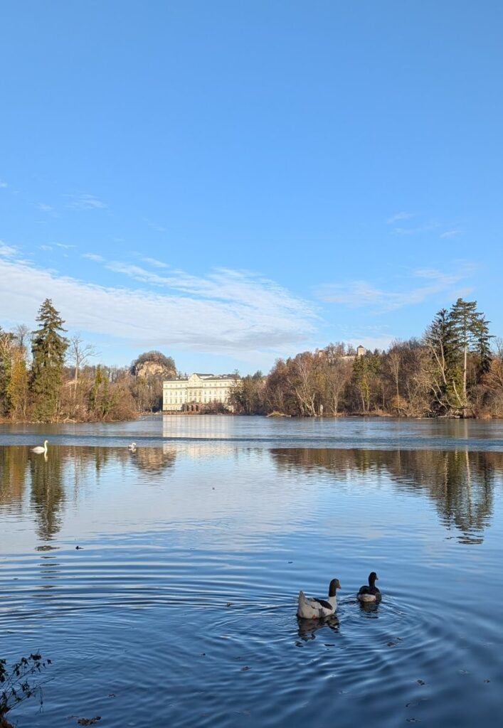 See mit Enten und Schloss im Hintergrund
