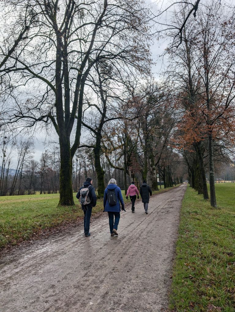 Fastengruppe von hinten auf einem matschigen Weg zwischen hohen Bäumen